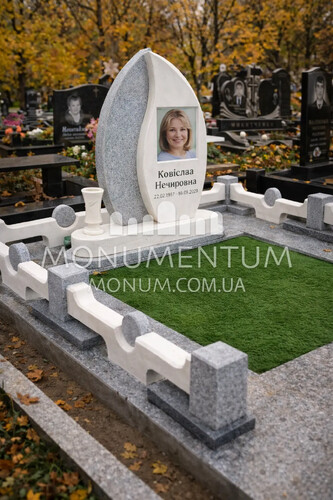 Памятники Фото элитных памятников nELI2609 фото