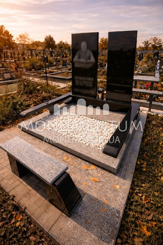 Пам'ятники Фото елітних пам'ятників nELI26097 фото