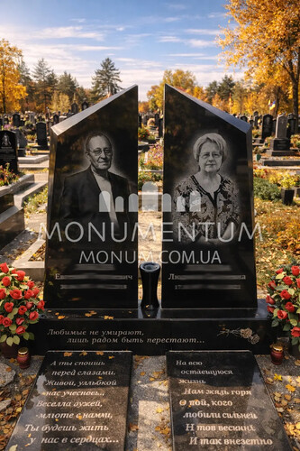 Пам'ятники Фото елітних пам'ятників nELI26098 фото